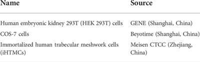 Structure‒function‒pathogenicity analysis of C-terminal myocilin missense variants based on experiments and 3D models